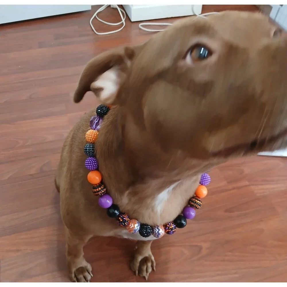 Handmade Halloween Beaded Dog Puppy Collar Necklace Jewelry Durable 23 3/4